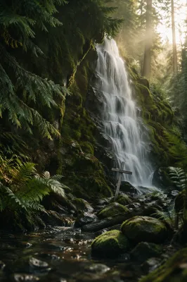 Evergreen Forest Waterfall with Wooden Cross