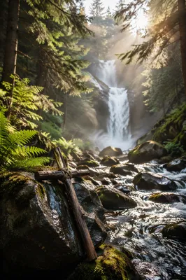 Hidden Forest Waterfall with Wooden Cross