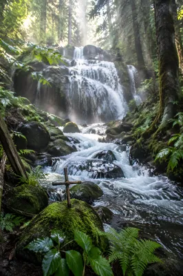 Evergreen Forest Waterfall With Twig Cross