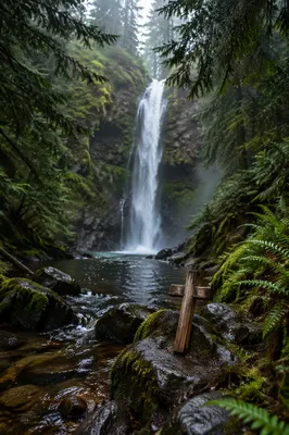 Hidden Forest Waterfall with Wooden Cross