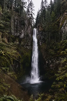 Serene Waterfall in Evergreen Forest Gorge