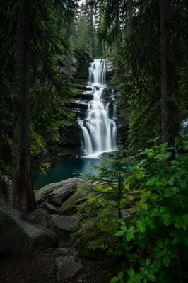 Secluded Waterfall in Evergreen Forest Trail