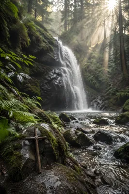 Evergreen Forest Waterfall with Wooden Cross