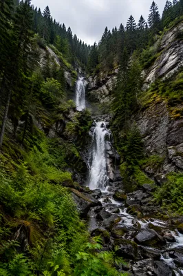Secluded Waterfall in Evergreen Mountain Forest