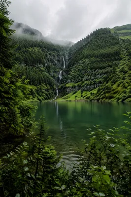 Misty Evergreen Waterfall Forest Valley