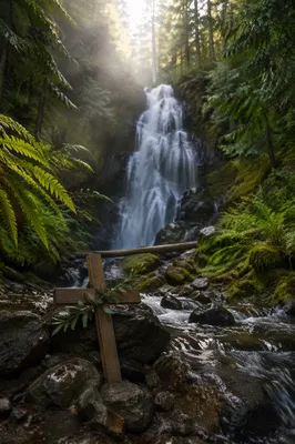 Evergreen Forest Waterfall With Wooden Cross