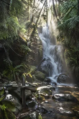 Hidden Evergreen Waterfall With Wooden Cross