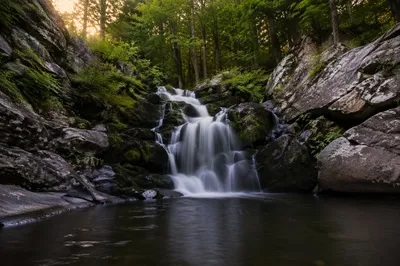Evergreen Forest Waterfall at Sunset