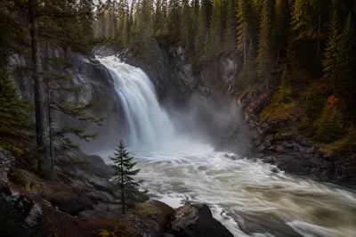Evergreen Forest Waterfall in Misty Morning Light