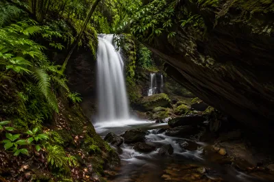 Secluded Waterfall in Evergreen Forest Ravine