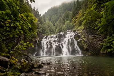 Evergreen Forest Waterfall with Misty Pool