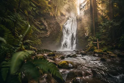 Evergreen Forest Waterfall with Wooden Cross