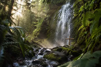 Wooden Cross Beside Evergreen Forest Waterfall