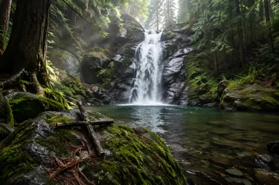 Evergreen Forest Waterfall with Twig Cross