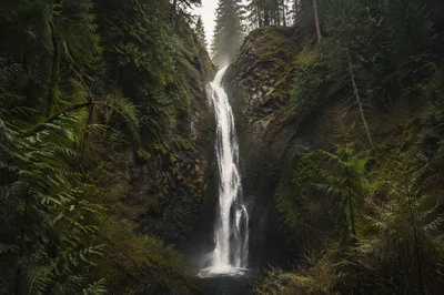 Serene Waterfall in Evergreen Forest Gorge