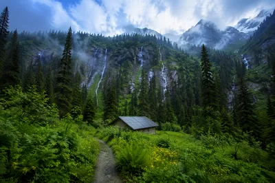 Evergreen Mountain Waterfalls After Rain