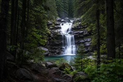 Tiered Waterfall in Secluded Evergreen Forest