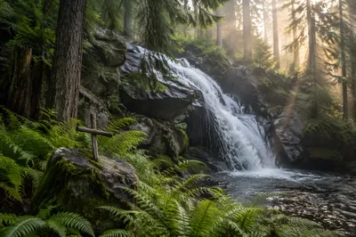 Secluded Evergreen Waterfall with Wooden Cross