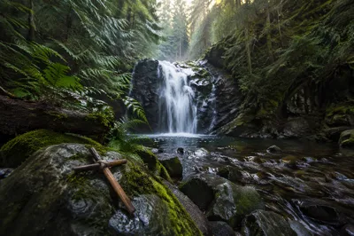 Evergreen Forest Waterfall with Rustic Cross