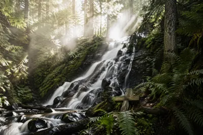 Evergreen Forest Waterfall with Wooden Cross