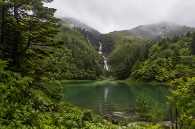 Evergreen Forest Waterfall with Misty Lake