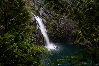 Secluded Evergreen Forest Waterfall Meditation
