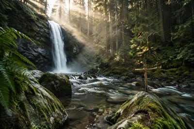 Evergreen Forest Waterfall With Wooden Cross