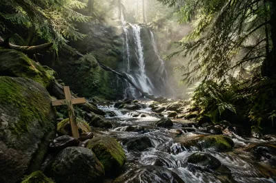 Evergreen Forest Waterfall With Wooden Cross