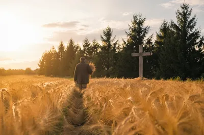 Golden Wheat Path Toward Wooden Cross