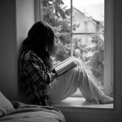 Quiet Bible Reading by Evergreen Window