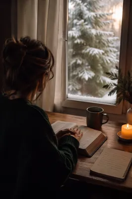 Morning Bible Reading by Snowy Evergreen Window