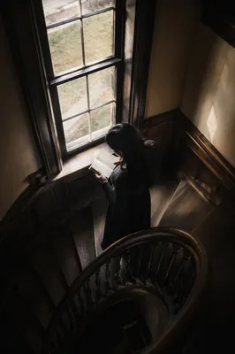 Woman Reading Bible by Window Light