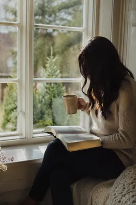 Quiet Morning Bible Reading by Window