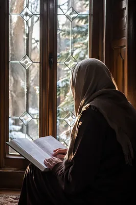 Quiet Bible Reading Beside Evergreen Window