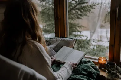 Peaceful Bible Reading by Rainy Evergreen Window