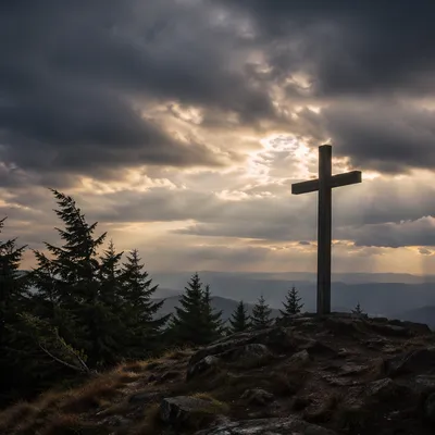 Weathered Cross on Evergreen Hilltop