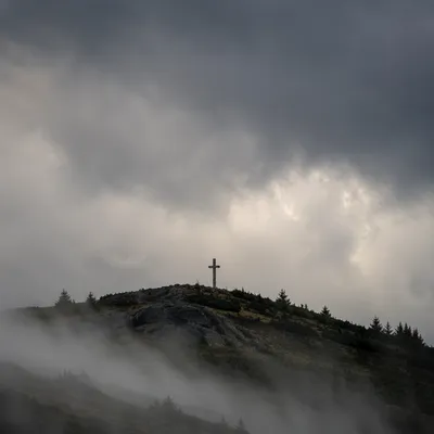 Weathered Cross on Misty Evergreen Hilltop