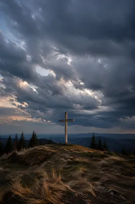 Weathered Wooden Cross Beneath Stormy Evergreen Sky