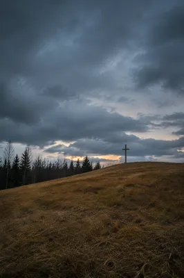 Wooden Cross on Stormy Evergreen Hilltop