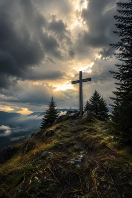 Weathered Cross on Evergreen Hilltop