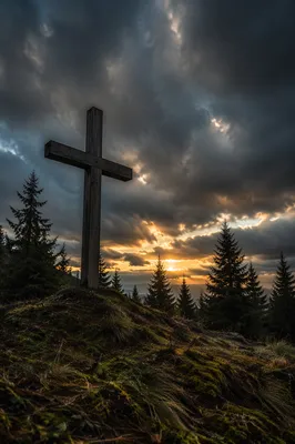 Weathered Wooden Cross Beneath Dramatic Evergreen Sky