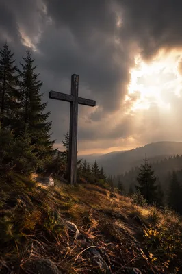 Wooden Cross on Evergreen Hilltop
