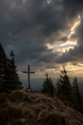 Weathered Wooden Cross Beneath Dramatic Evergreen Sky