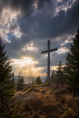 Weathered Wooden Cross on Evergreen Hilltop