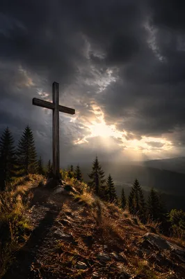 Wooden Cross on Evergreen Hilltop