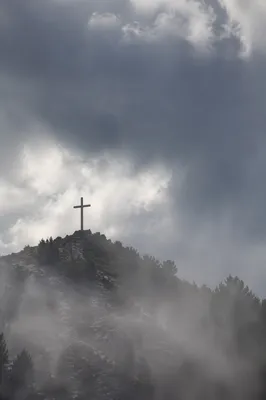 Weathered Cross on Misty Evergreen Hilltop
