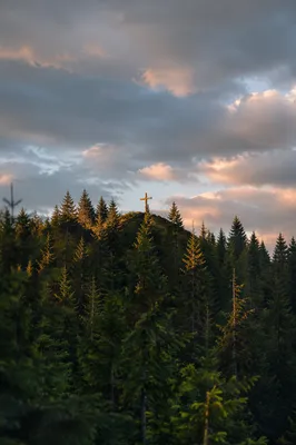 Wooden Cross on Evergreen Hilltop