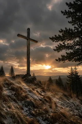 Weathered Cross on Stormy Evergreen Hilltop