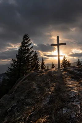 Weathered Cross on Evergreen Hilltop
