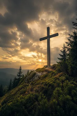 Wooden Cross on Evergreen Hilltop Sky